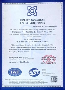 ISO 9001-2022 (2)