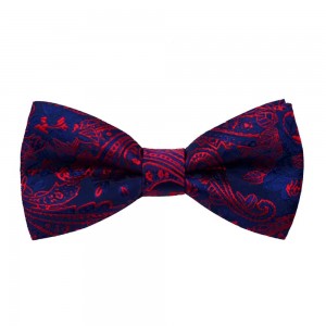 2.7 Paisley bowtie