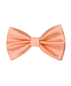 6.1-Solid-Bowtie