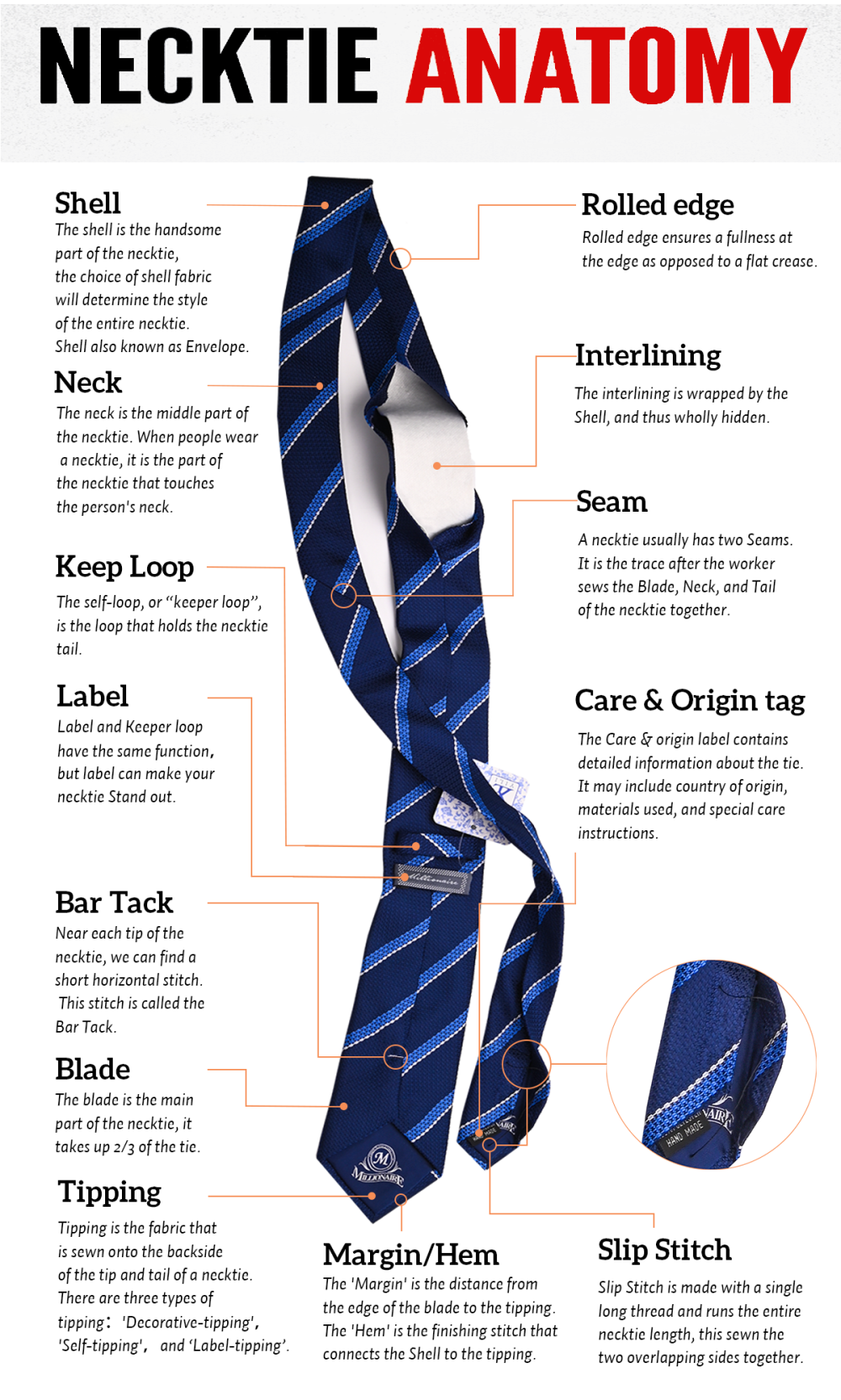 News - The Necktie Structure Anatomy